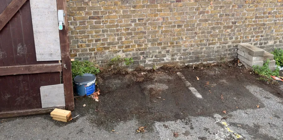 After: Restaurant yard clearance in Rayleigh: dead palms and four heavy planters taken away, yard left clear